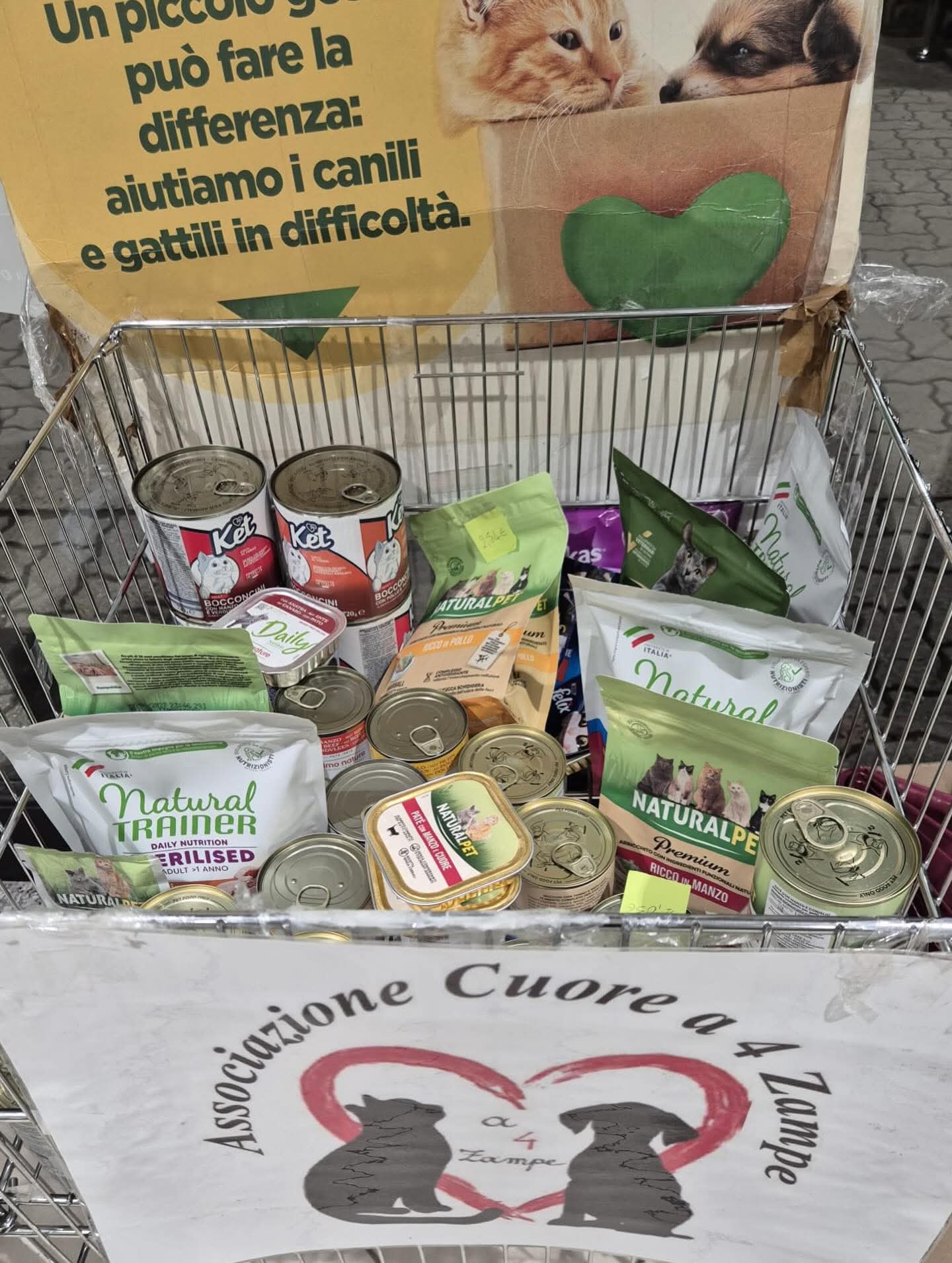 Raccolta cibo